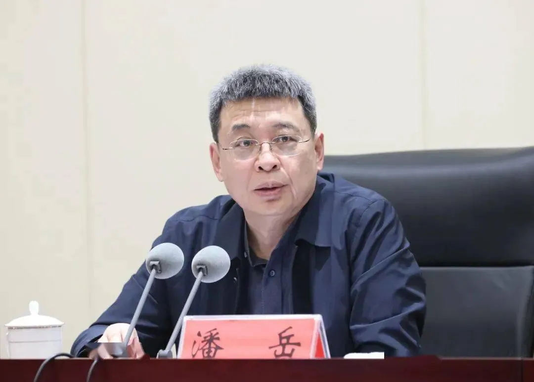中央委员潘岳，获任新职
