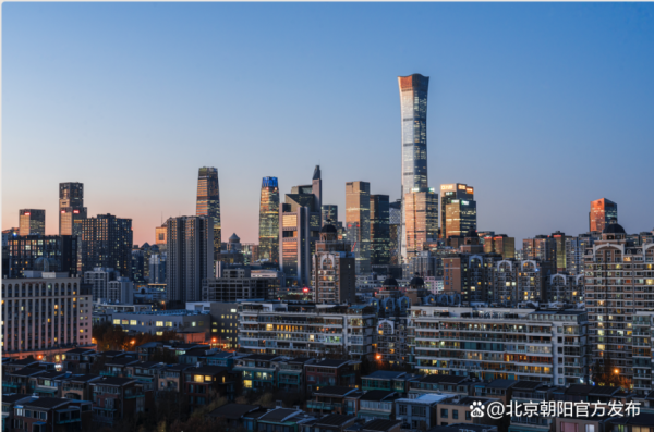 世界首个！北京向阳行状能力海外标准发展中心成立